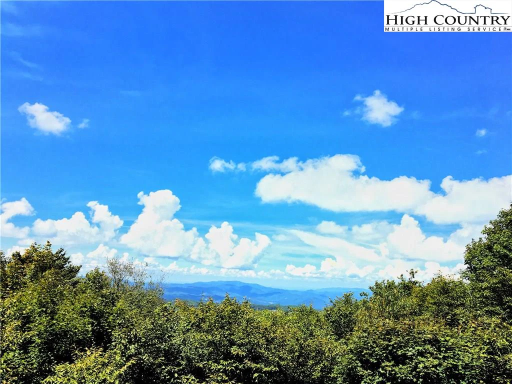 Image number 1 for the current listing