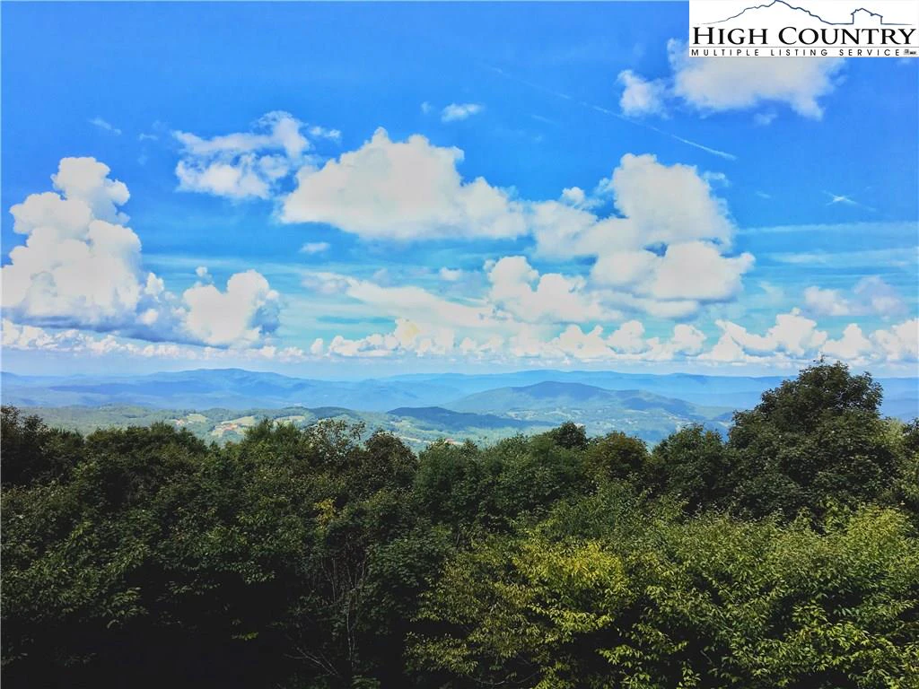 Image number 3 for the current listing