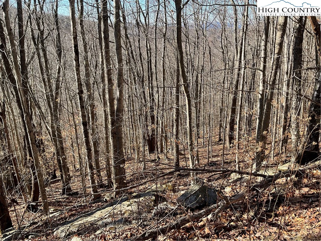 Image number 3 for the current listing