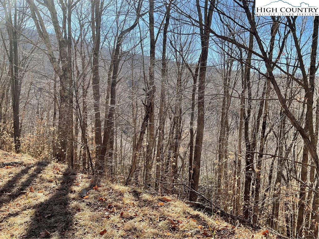 Image number 6 for the current listing