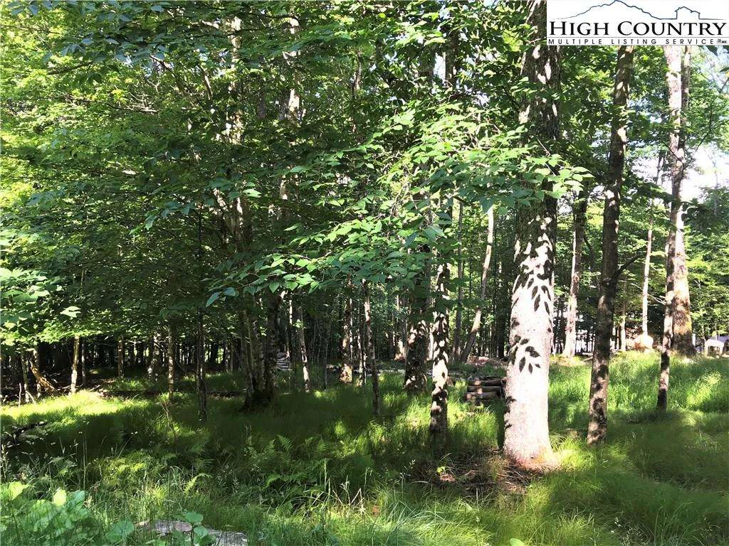 Image number 1 for the current listing