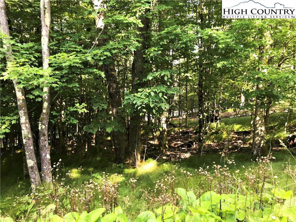 Image number 3 for the current listing