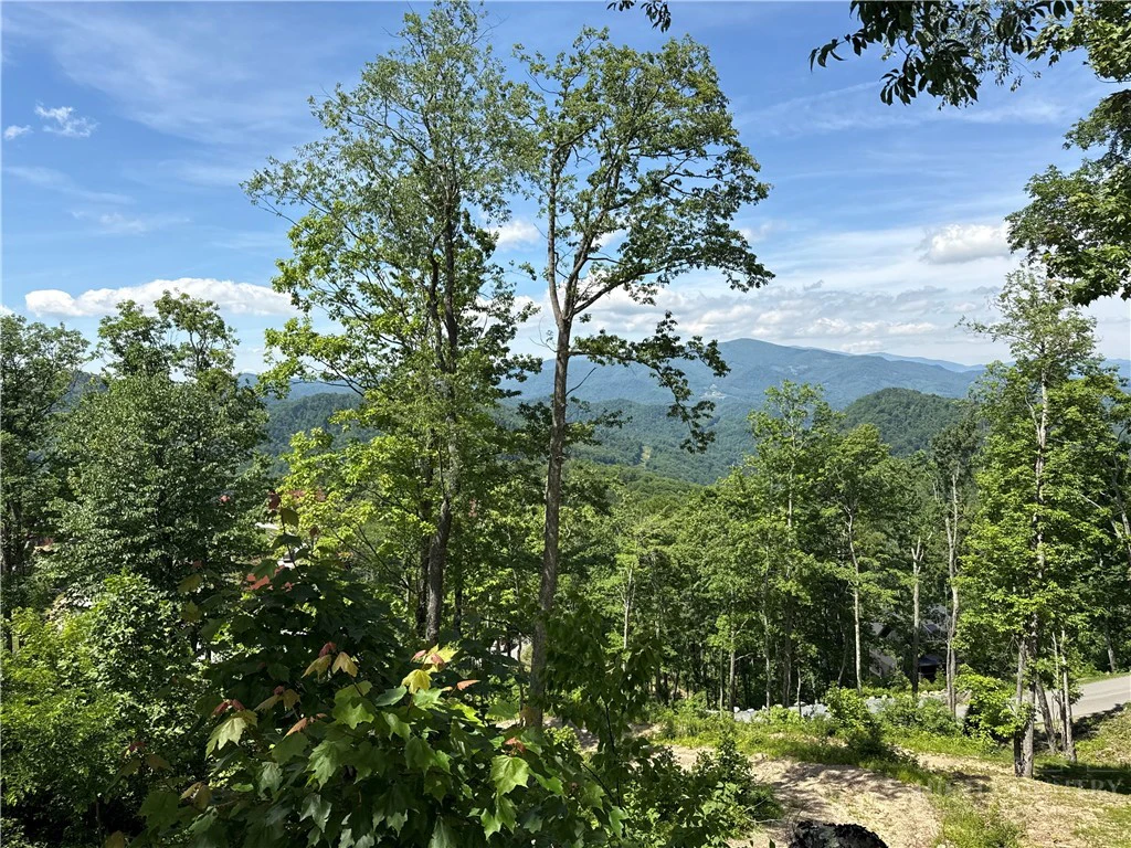 Image number 2 for the current listing
