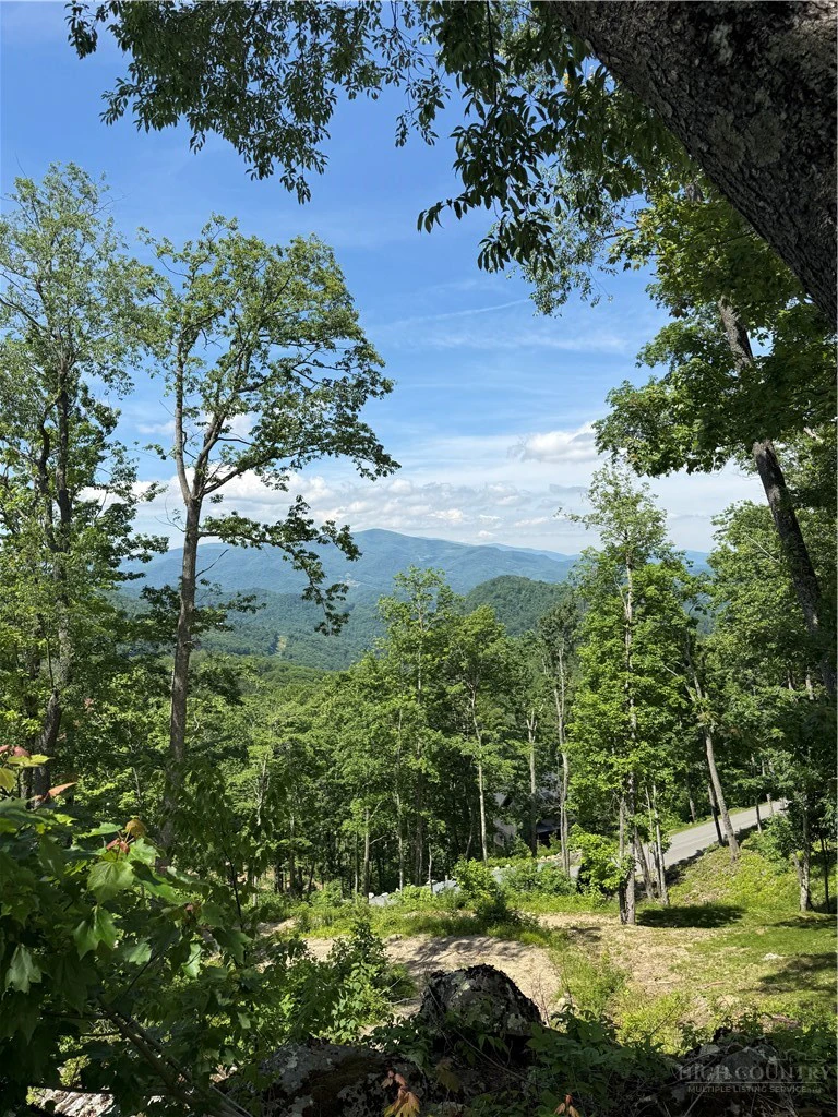 Image number 4 for the current listing