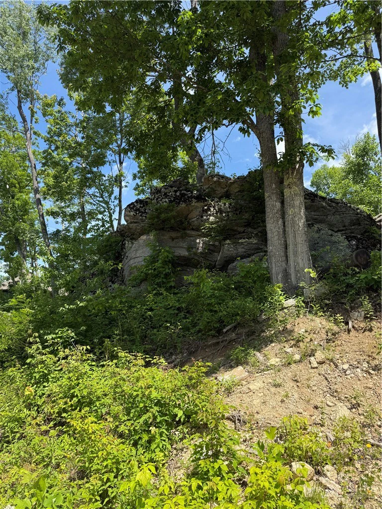 Image number 5 for the current listing