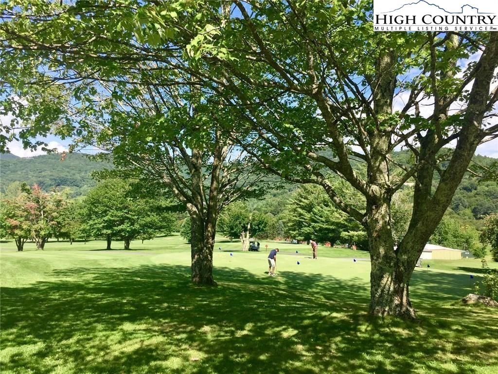 Image number 12 for the current listing