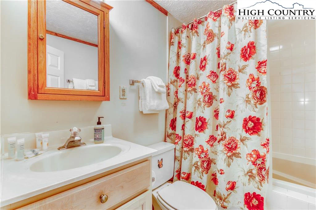 Image number 4 for the current listing