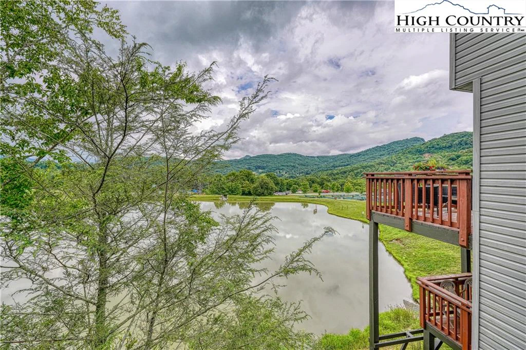Image number 12 for the current listing