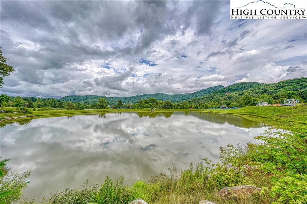 Image number 16 for the current listing