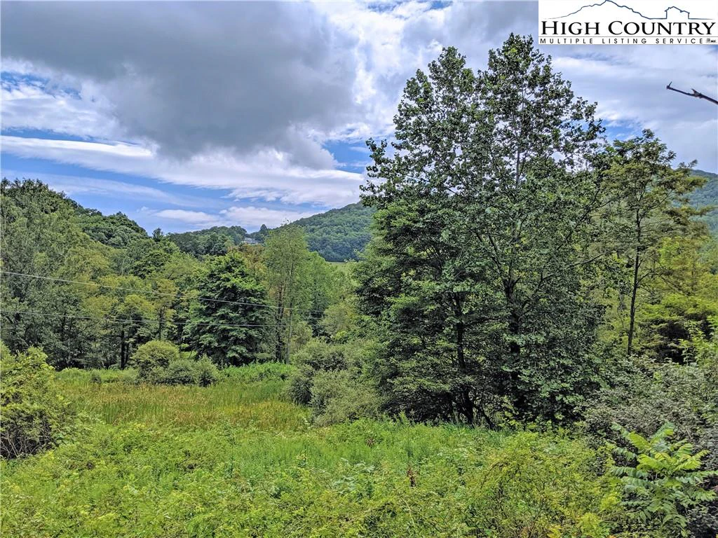Image number 7 for the current listing
