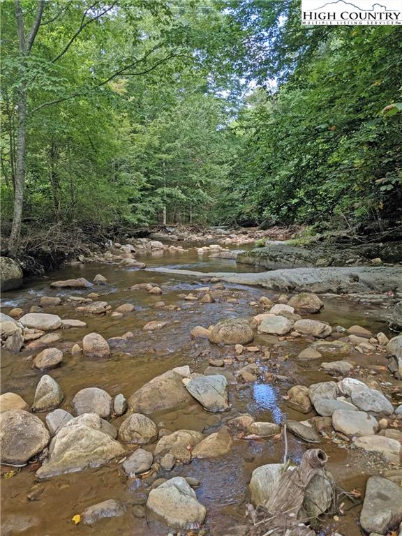 Image number 4 for the current listing