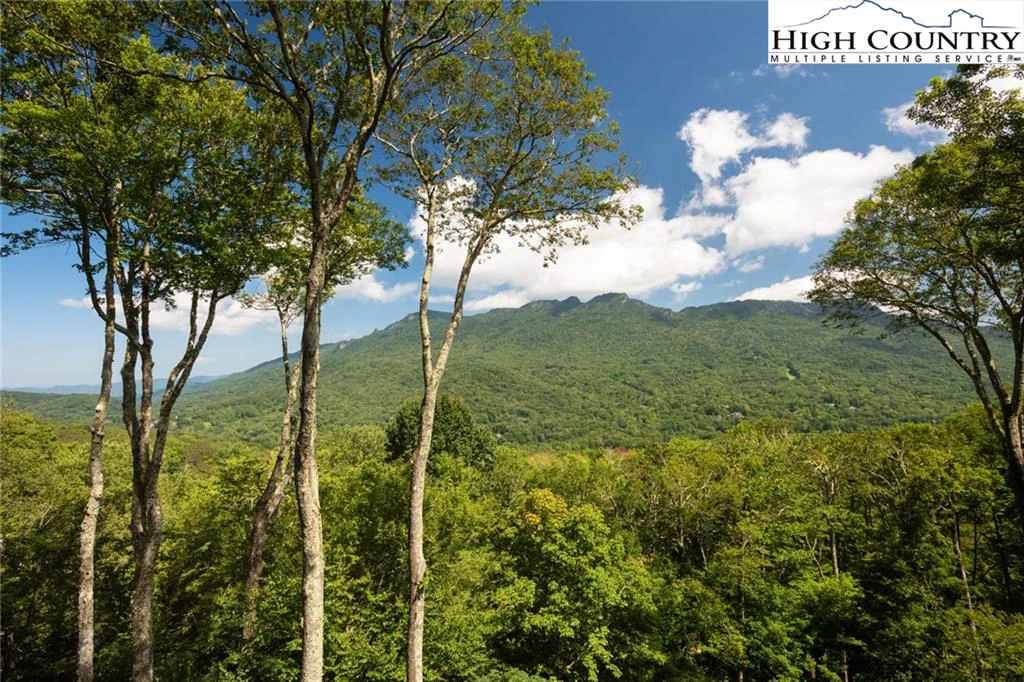 Image number 13 for the current listing