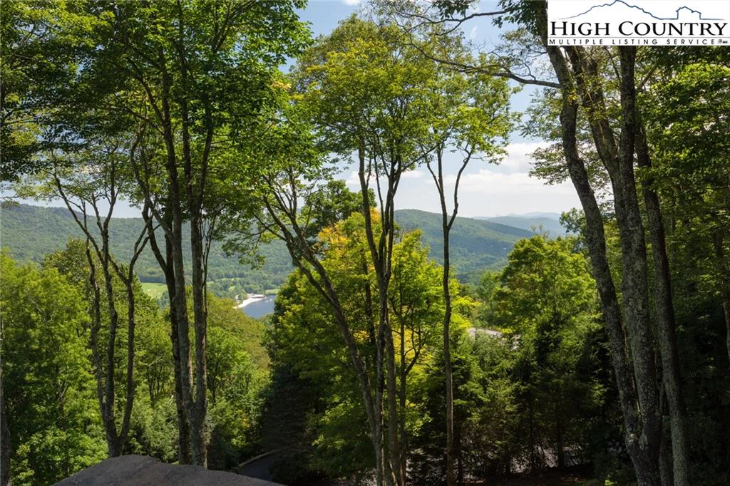 Image number 3 for the current listing