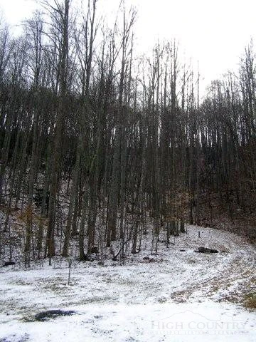 Image number 16 for the current listing