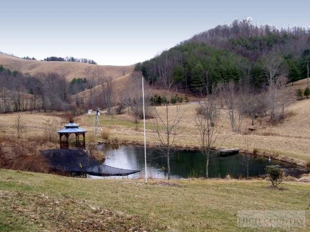 Image number 2 for the current listing
