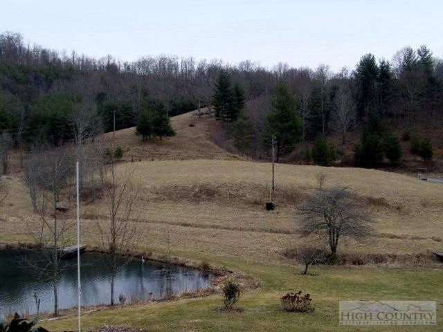 Image number 8 for the current listing