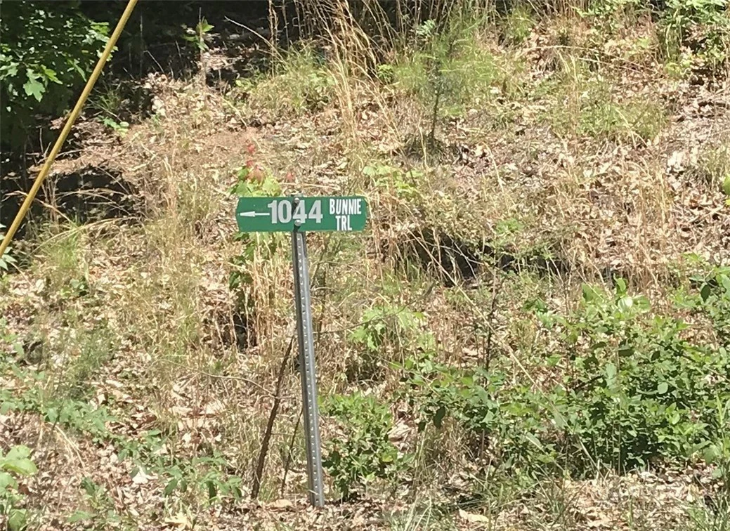 Image number 5 for the current listing