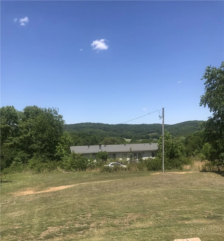 Image number 12 for the current listing