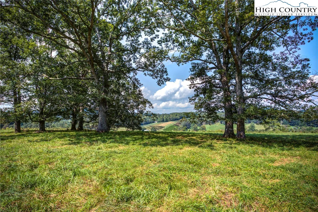 Image number 15 for the current listing