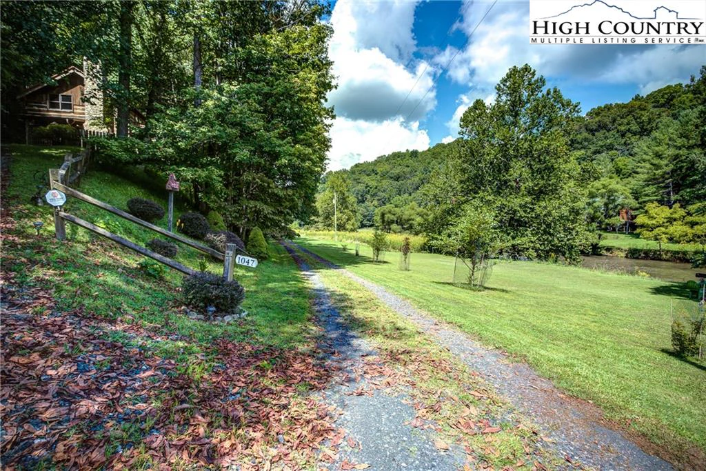 Image number 8 for the current listing