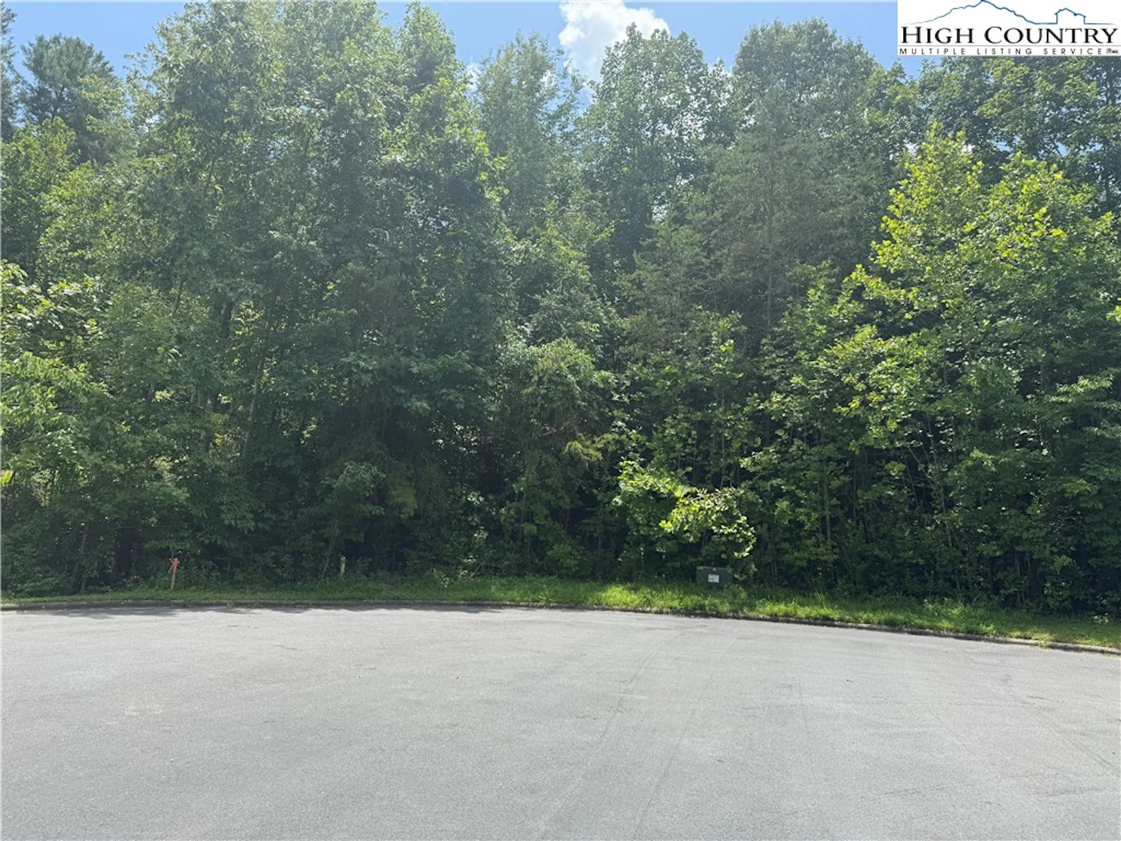 Image number 1 for the current listing