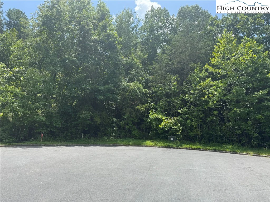 Image number 1 for the current listing