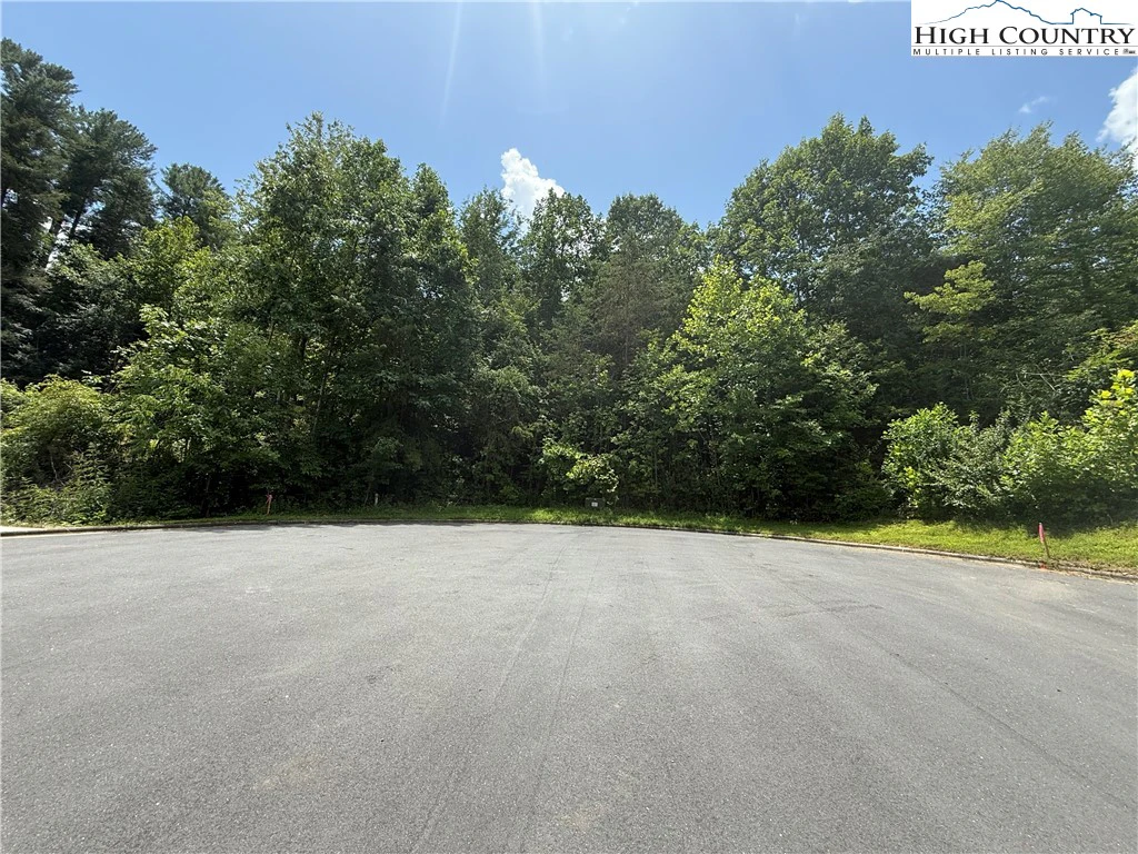 Image number 3 for the current listing