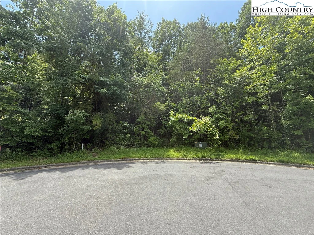 Image number 4 for the current listing