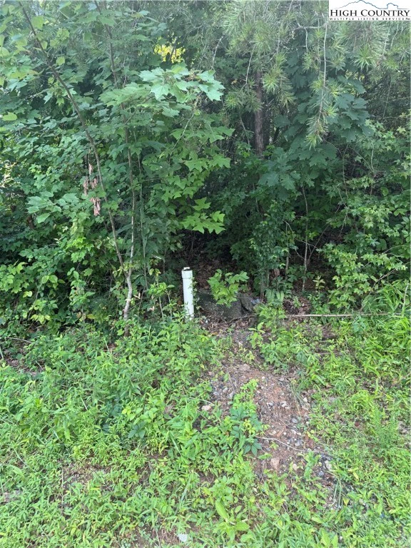 Image number 5 for the current listing