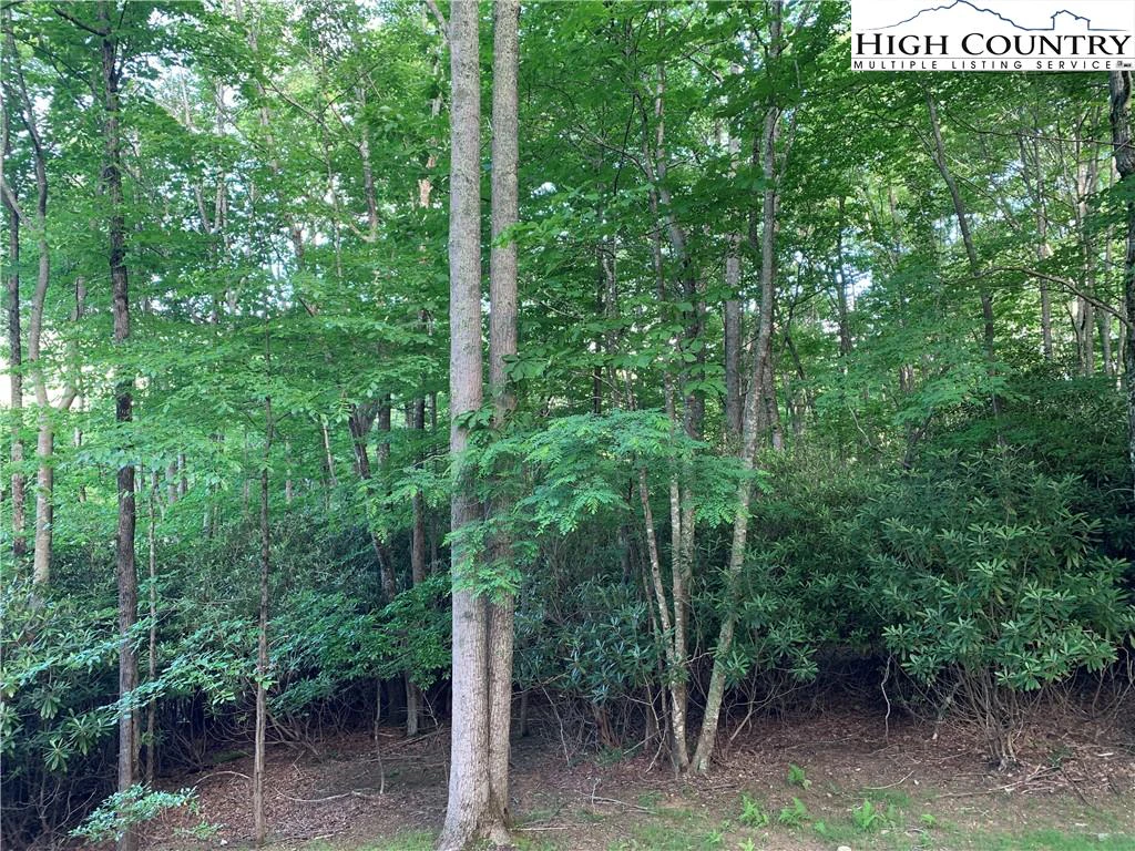 Image number 7 for the current listing