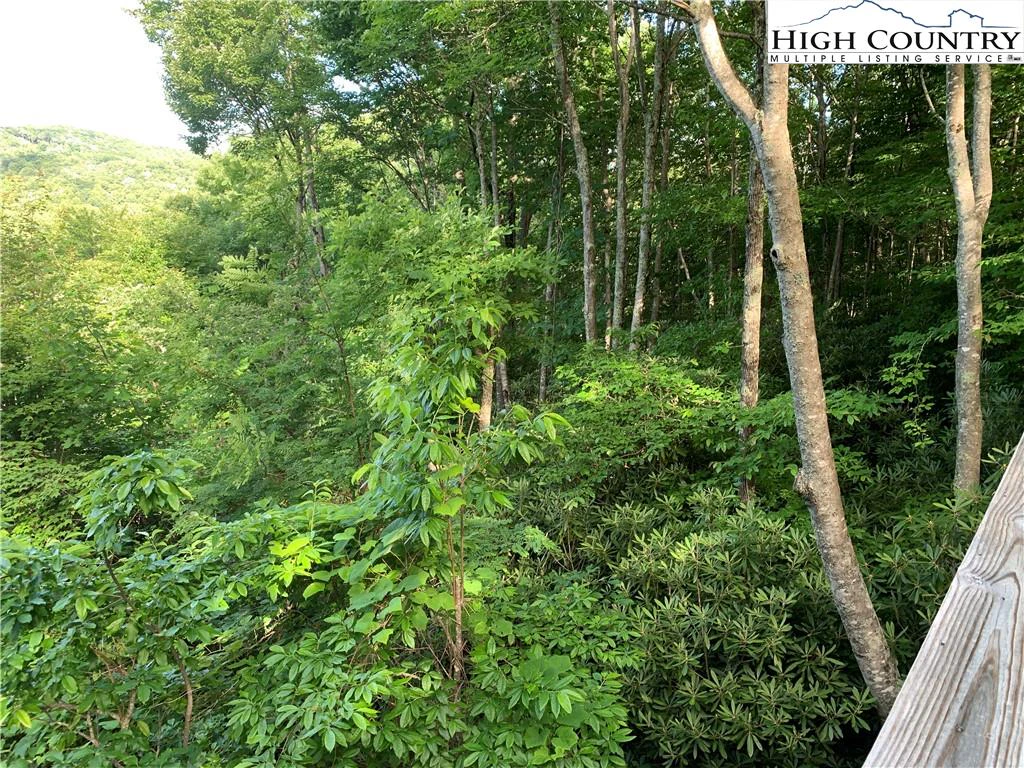 Image number 6 for the current listing