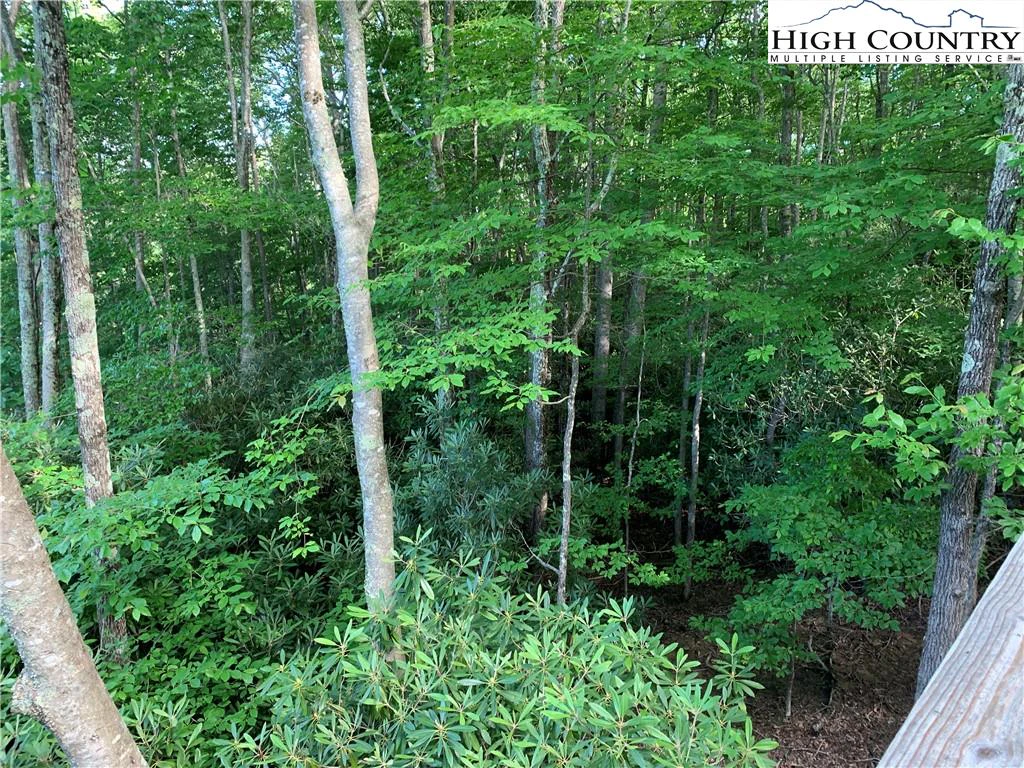Image number 5 for the current listing