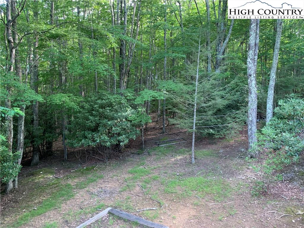 Image number 4 for the current listing