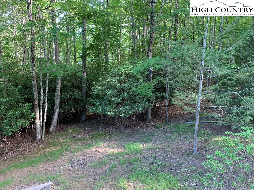 Image number 3 for the current listing
