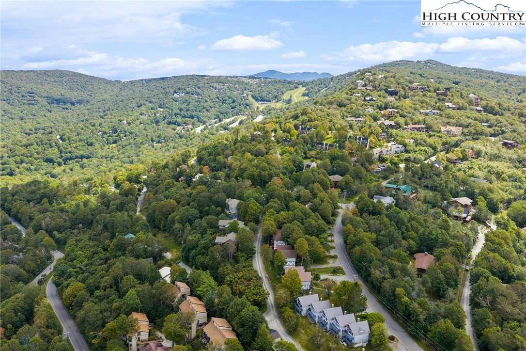 Image number 2 for the current listing