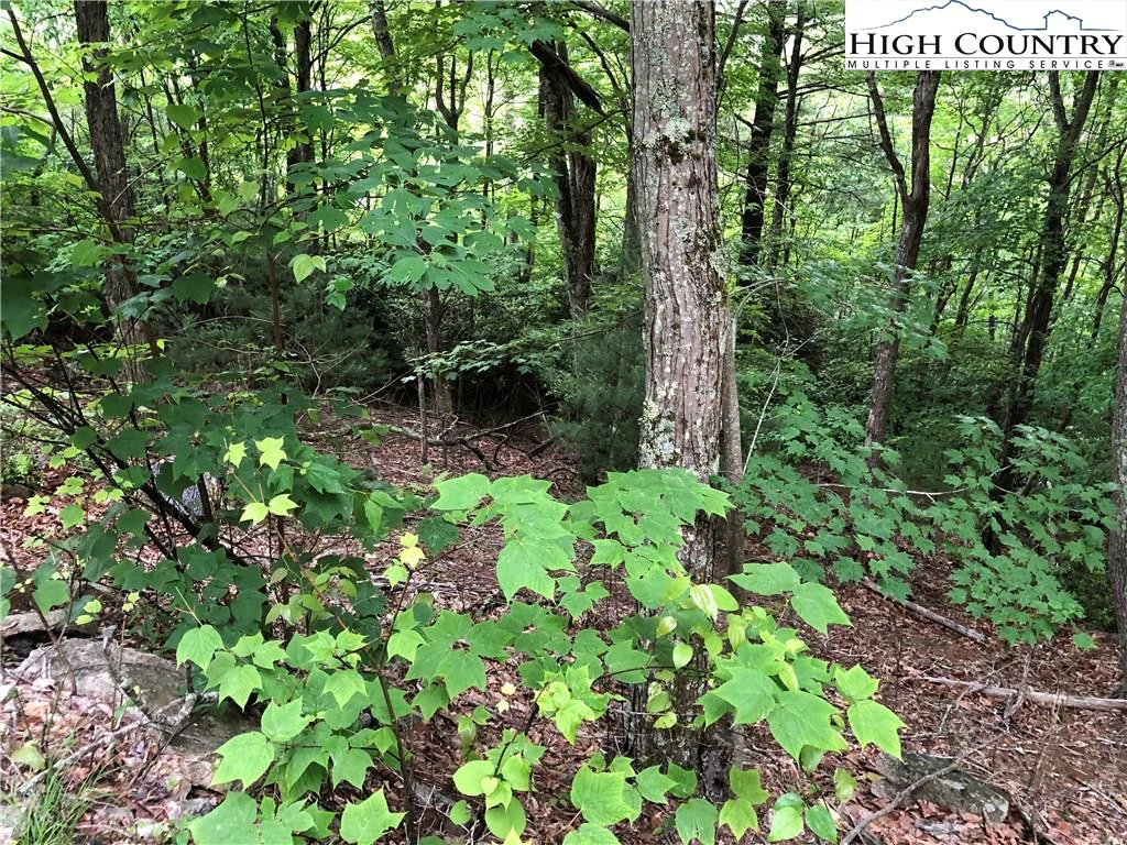 Image number 3 for the current listing