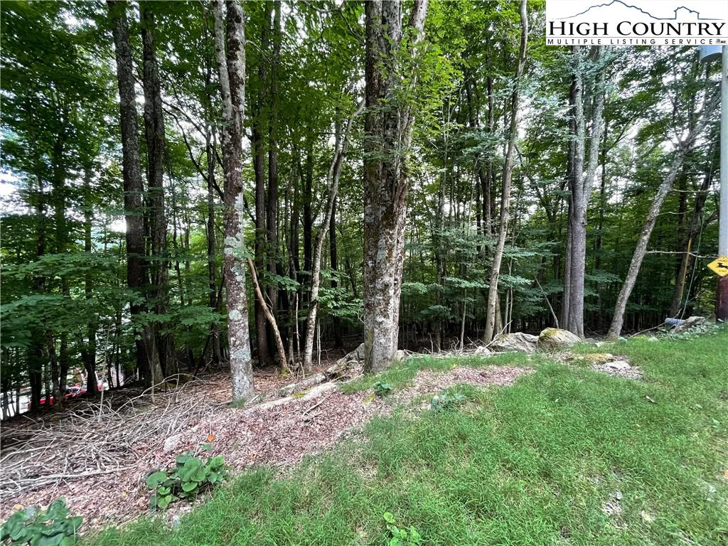 Image number 1 for the current listing