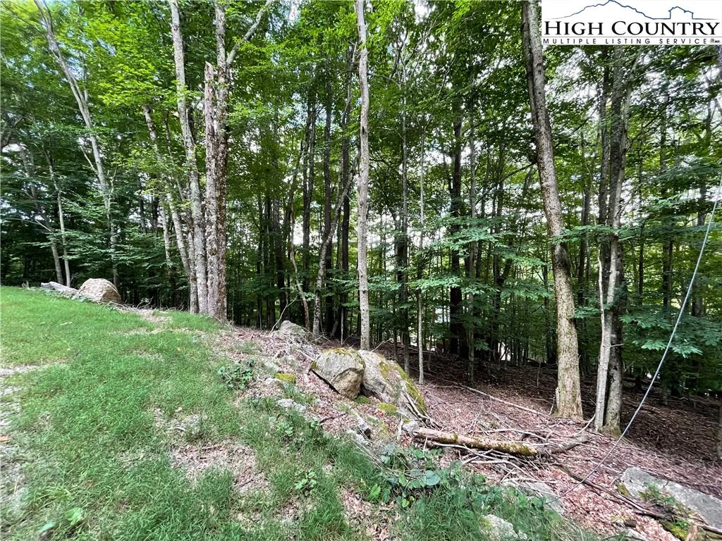 Image number 3 for the current listing
