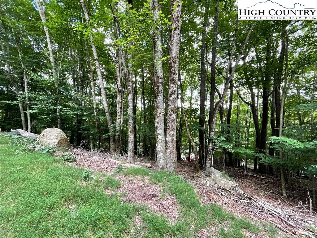 Image number 4 for the current listing