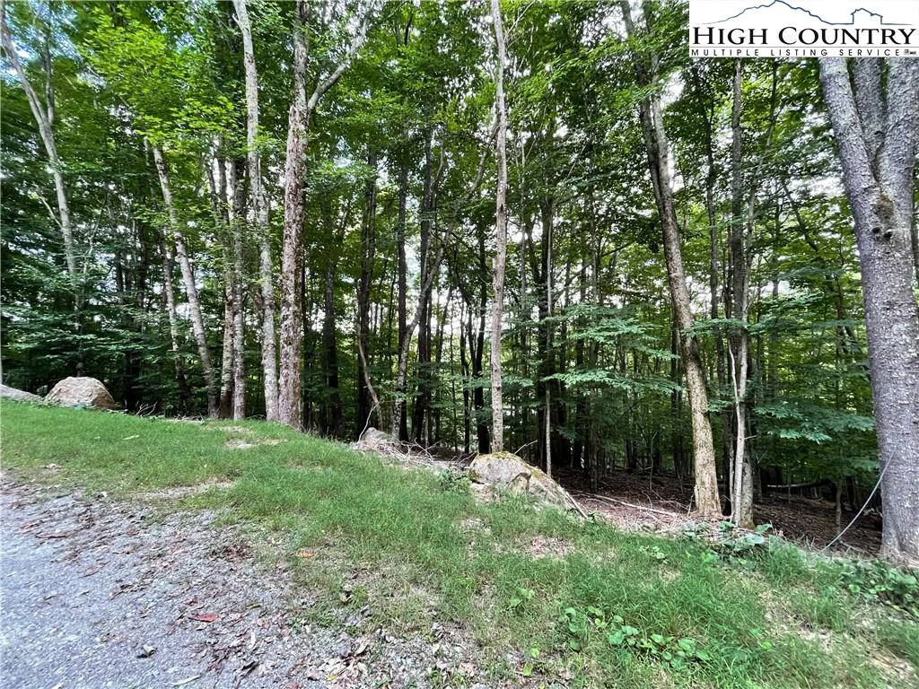 Image number 5 for the current listing