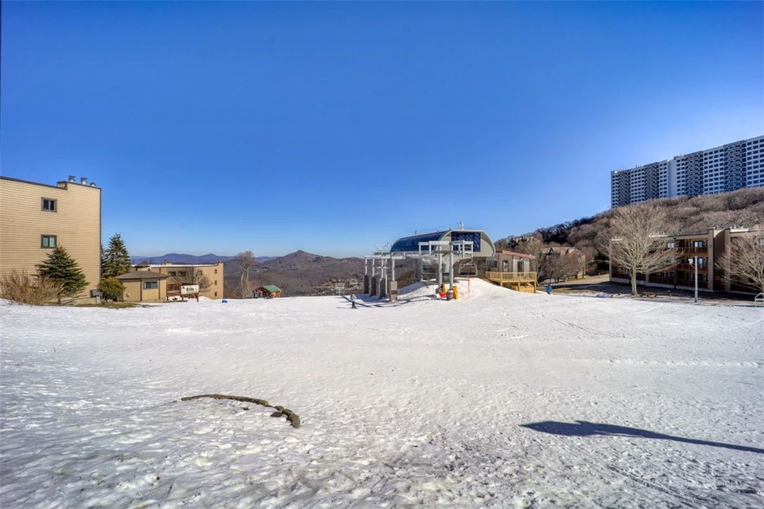 Image number 1 for the current listing