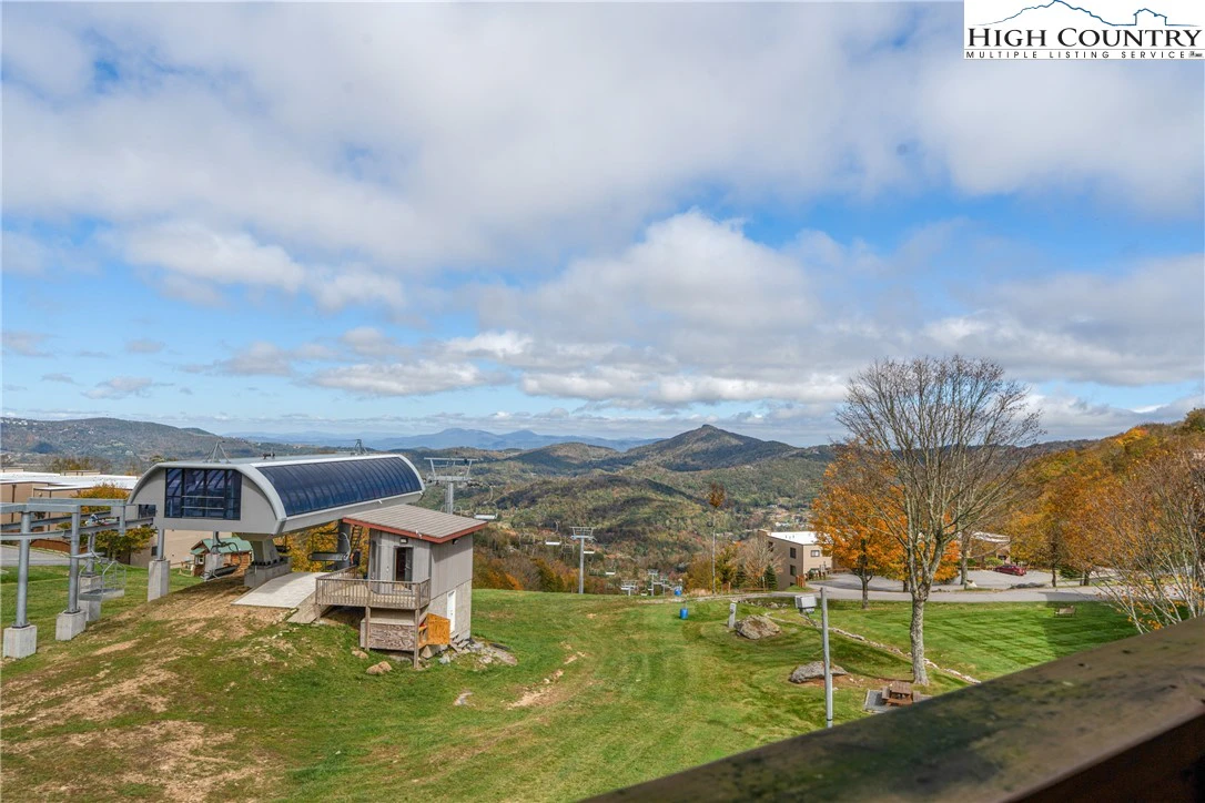 Image number 4 for the current listing
