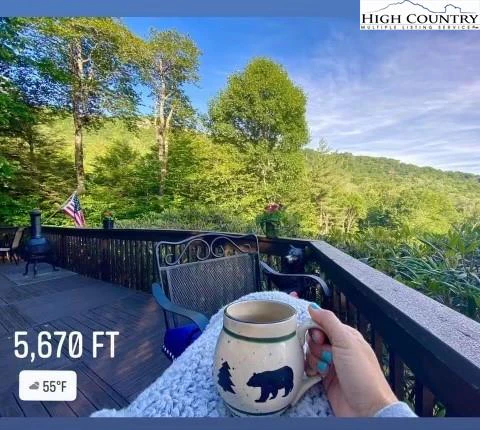 Image number 1 for the current listing