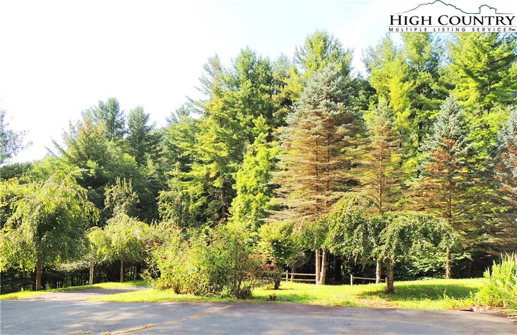 Image number 6 for the current listing