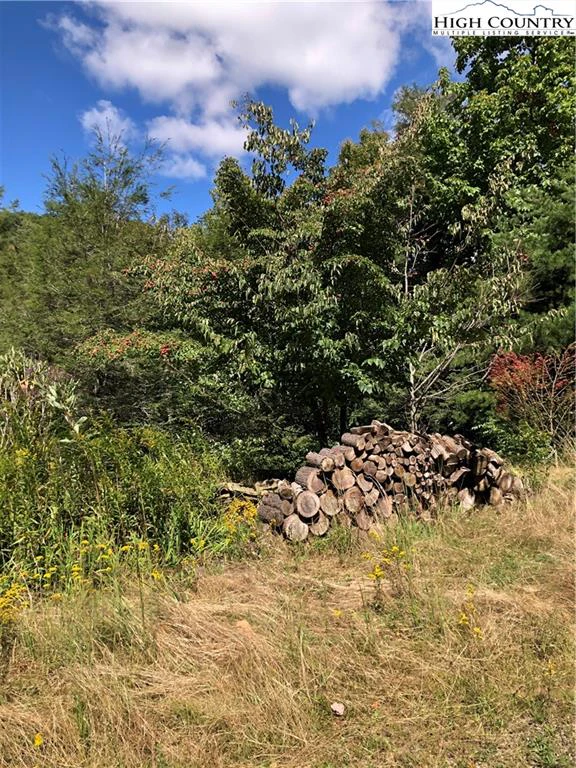 Image number 10 for the current listing