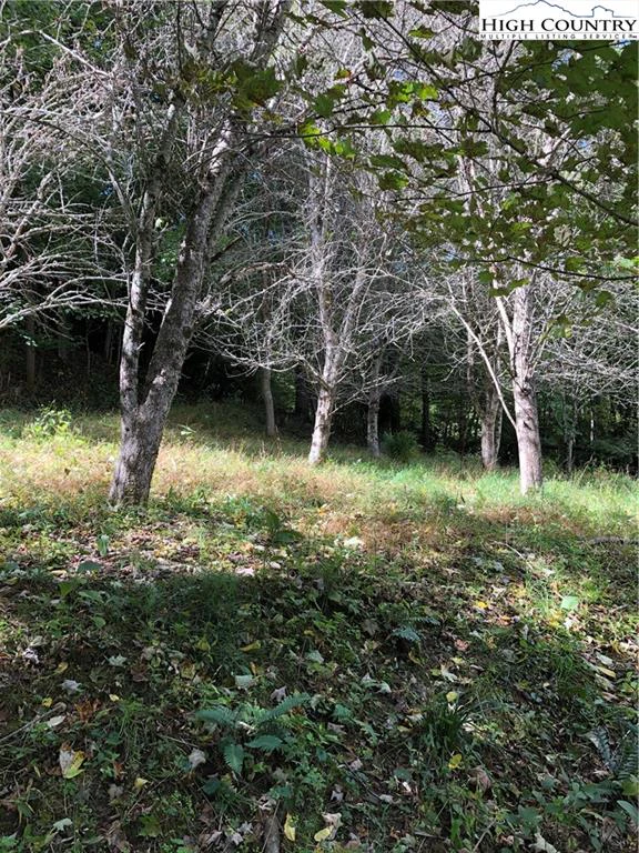 Image number 6 for the current listing