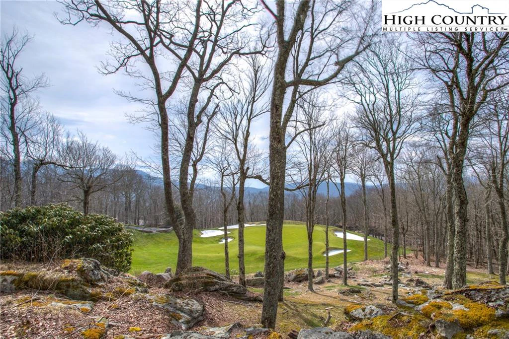 Image number 6 for the current listing