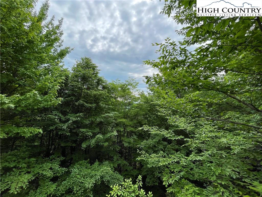 Image number 4 for the current listing
