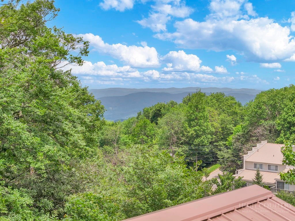 Image number 4 for the current listing