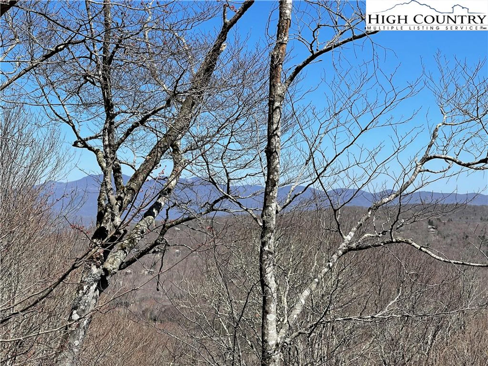 Image number 1 for the current listing
